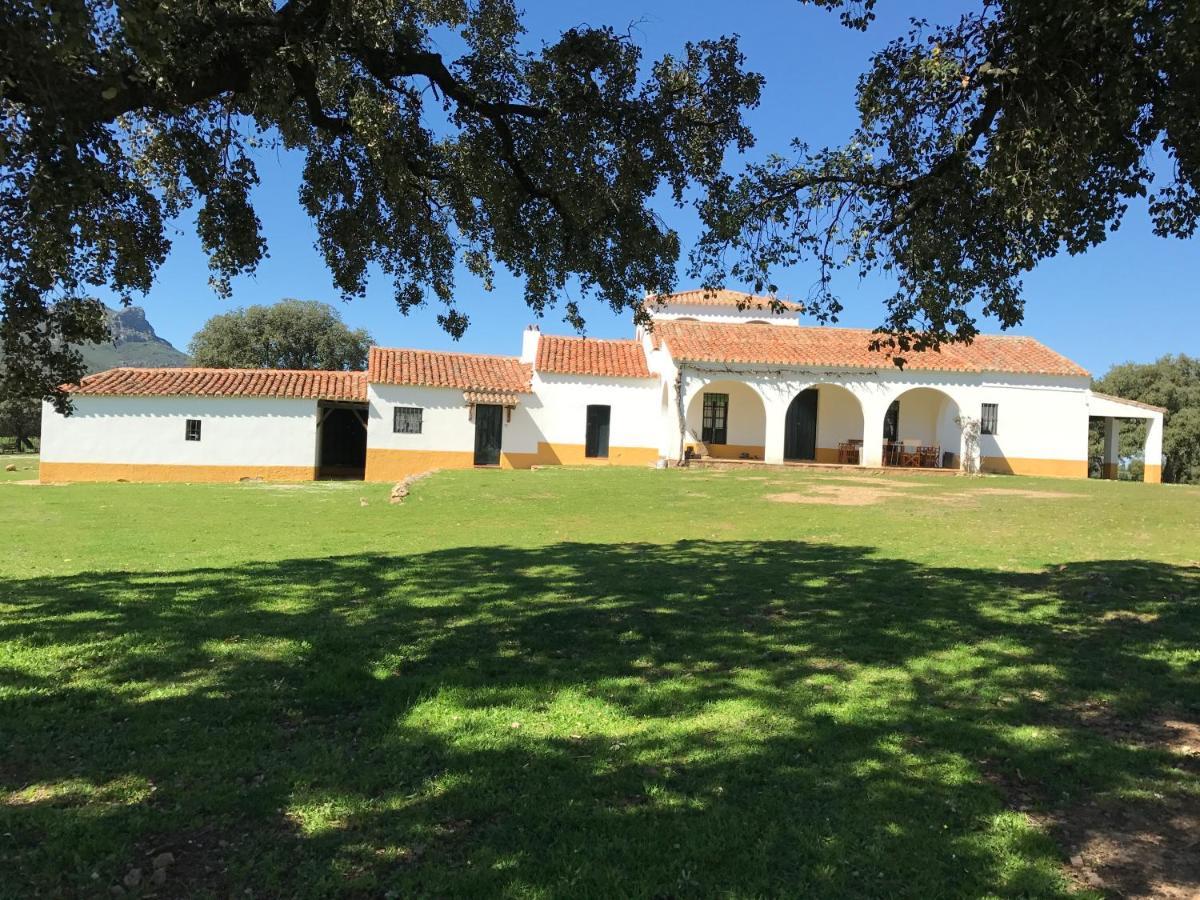 Casa Rural De La Finca Sierra Grande Hornachos エクステリア 写真