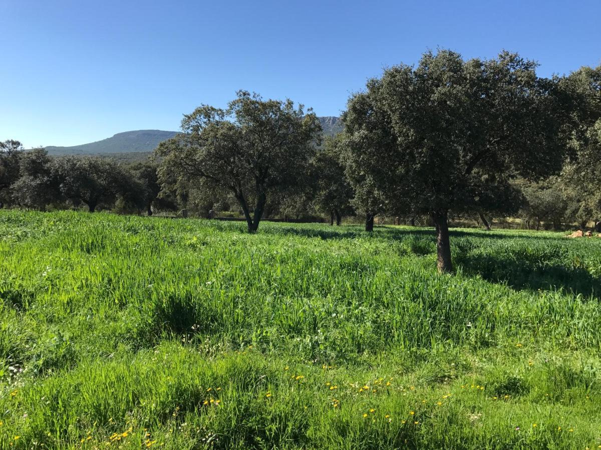 Casa Rural De La Finca Sierra Grande Hornachos エクステリア 写真